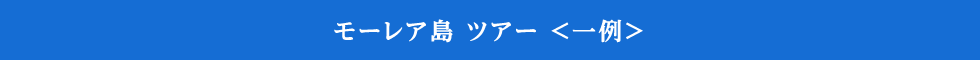 モーレア島 ツアー一例