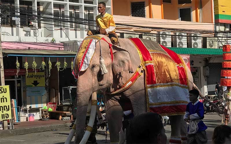 タイのお祭り　スリン象祭り