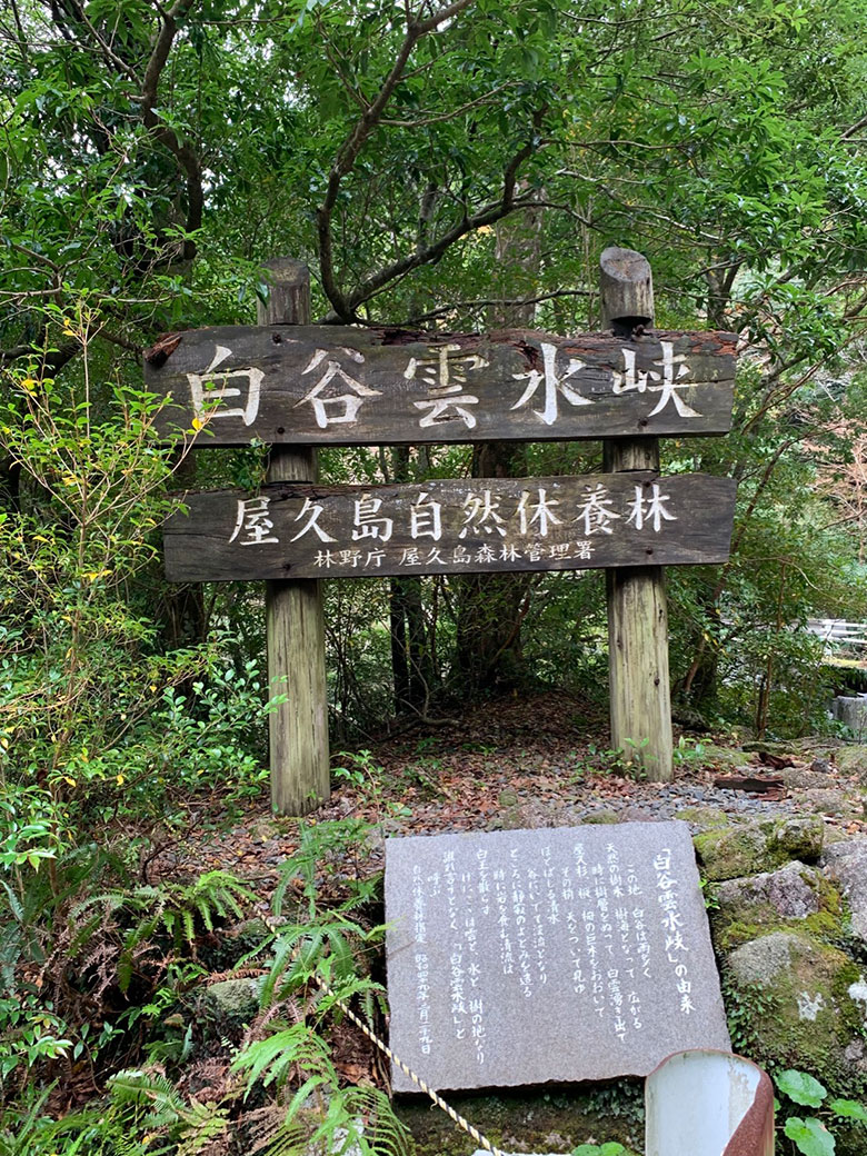 白谷雲水峡