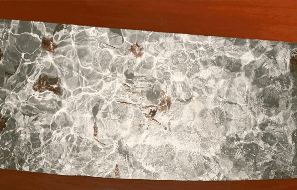 水上バンガローのガラステーブル