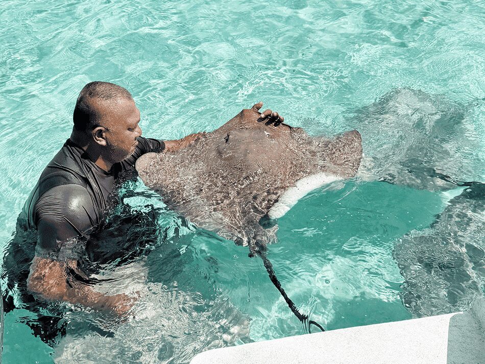 ヴァヒネアイランドへ行く途中 エイと戯れる