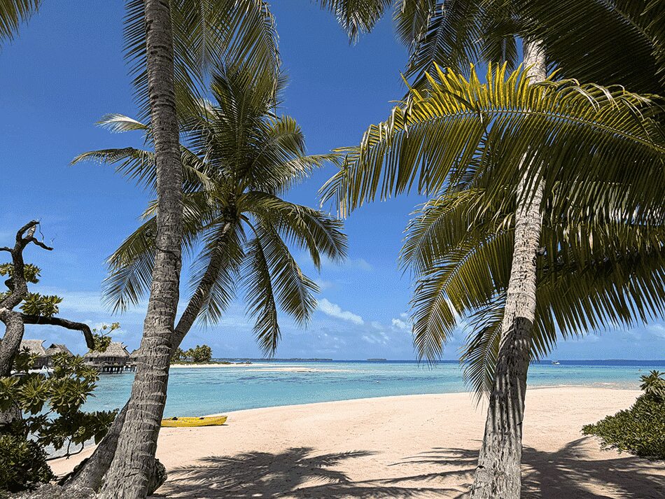 タヒチ 朝食後の散策