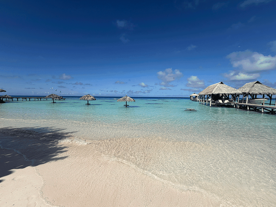 8日目 ハヴァイキロッジの朝