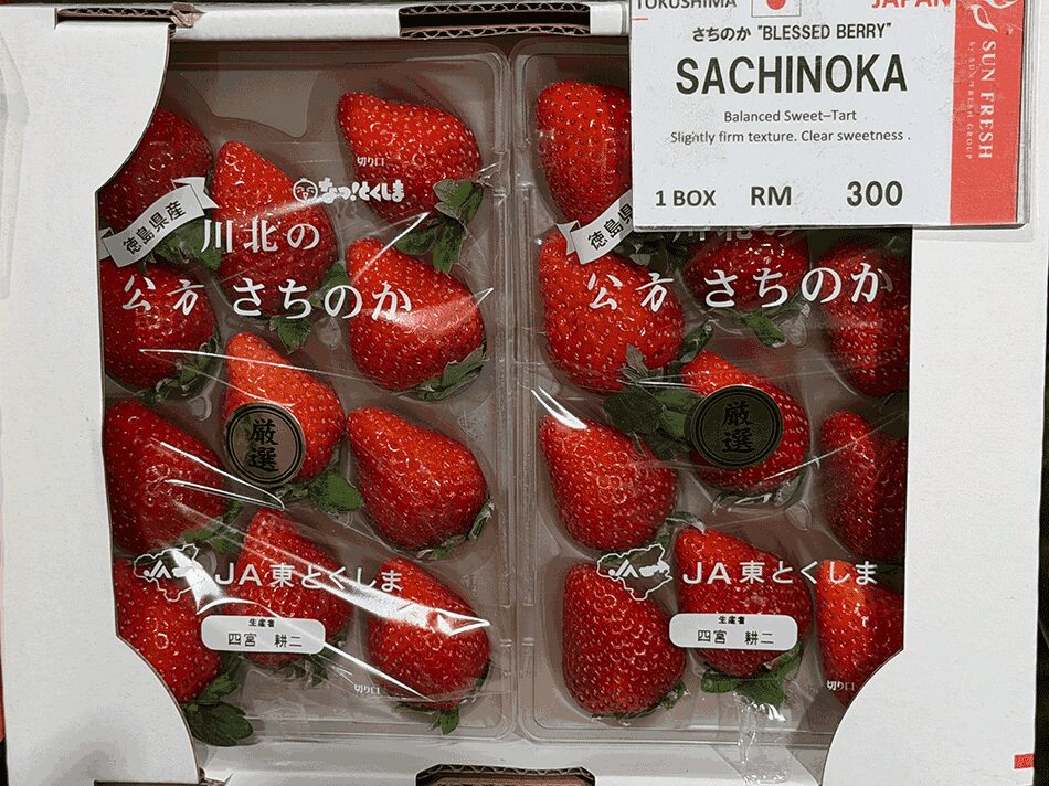 TRX内の日本のデパート