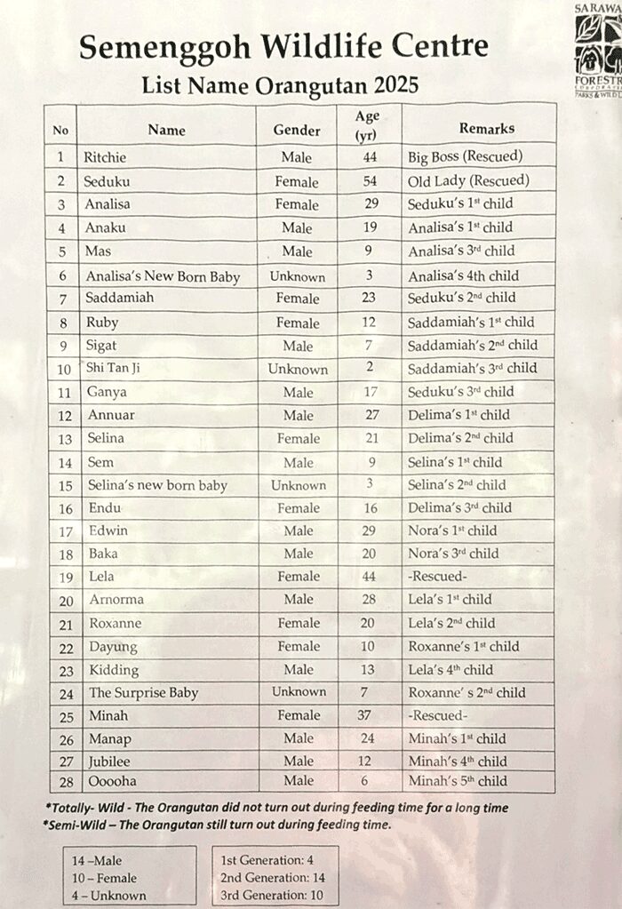 オランウータンのネームリスト