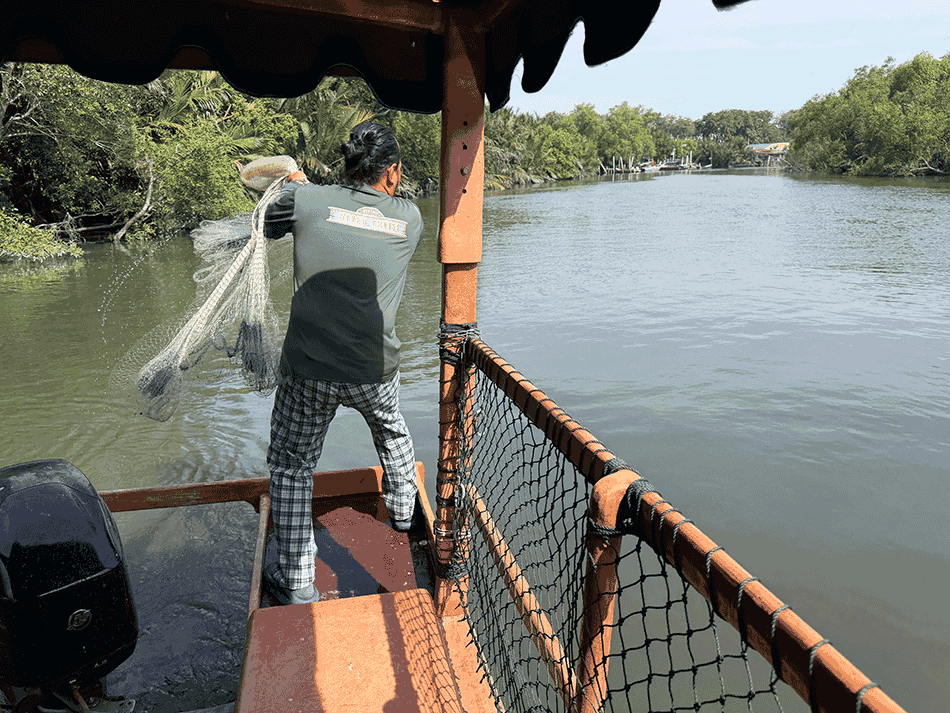 昔ながらの魚取り