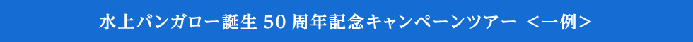 水上バンガロー誕生50周年記念キャンペーン ＜一例＞